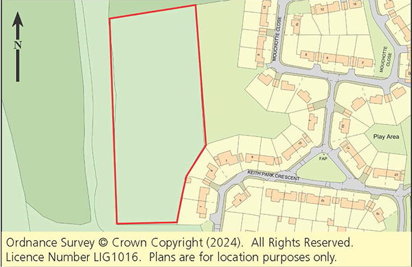 Lot: 44 - WOODLAND EXTENDING TO OVER THREE ACRES - 